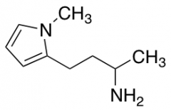 4-(1-methyl-1H-pyrrol-2-yl)butan-2-amine