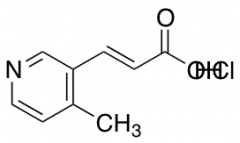 3-(4-methylpyridin-3-yl)prop-2-enoic acid hydrochloride