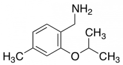 [4-methyl-2-(propan-2-yloxy)phenyl]methanamine