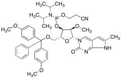 2&rsquo;-O-Methyl-pyrrolo C CEP