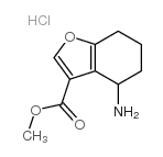 Methyl 4-amino-4,5,6,7-tetrahydrobenzofuran-3-carboxylate hydrochloride