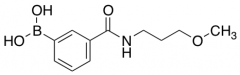3-(3-Methoxypropylcarbamoyl)phenylboronic Acid