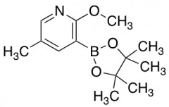 2-Methoxy-5-methyl-3-(4,4,5,5-tetramethyl-1,3,2-dioxaborolan-2-yl)pyridine