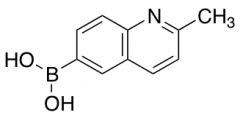 2-Methylquinoline-6-boronic Acid