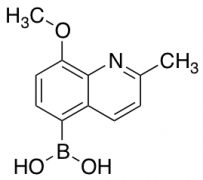 (8-Methoxy-2-methylquinolin-5-yl)boronic Acid