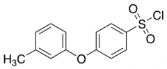 4-(m-Tolyloxy)benzenesulfonyl Chloride