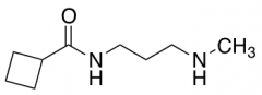 N-[3-(Methylamino)propyl]cyclobutanecarboxamide