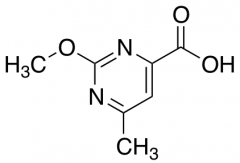 2-methoxy-6-methyl-pyrimidine-4-carboxylic acid