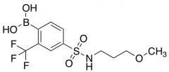 4-(N-(3-Methoxypropyl)sulfamoyl)-2-trifluoromethylphenylboronic acid