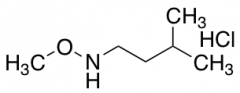 Methoxy(3-methylbutyl)amine Hydrochloride