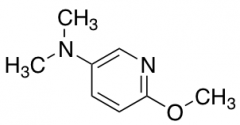 (6-Methoxy-pyridin-3-yl)-dimethyl-amine