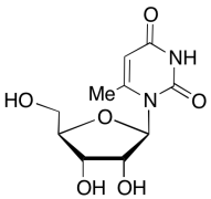 6-Methyluridine