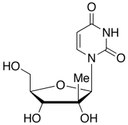 2'-C-Methyluridine