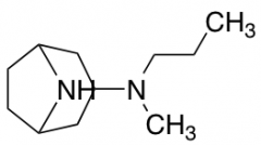 N-Methyl-N-propyl-8-azabicyclo[3.2.1]octan-3-amine