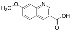 7-methoxyquinoline-3-carboxylic Acid
