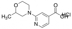 2-(2-methylmorpholin-4-yl)pyridine-4-carboxylic acid hydrochloride