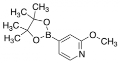 2-Methoxy-4-(4,4,5,5-tetramethyl-1,3,2-dioxaborolan-2-yl)pyridine
