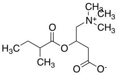3-(2-Methylbutanoyloxy)-4-trimethylazaniumylbutanoate