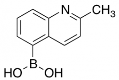 (2-methylquinolin-5-yl)boronic Acid hydrate