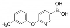 2-(3-Methylphenoxy)pyridine-5-boronic Acid