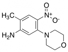 (2-Methyl-5-morpholin-4-yl-4-nitrophenyl)amine