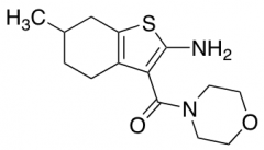 6-Methyl-3-(morpholin-4-ylcarbonyl)-4,5,6,7-tetrahydro-1-benzothien-2-ylamine