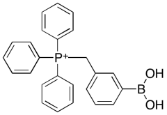 MitoB