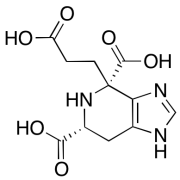 4S,6R-Mikimopine