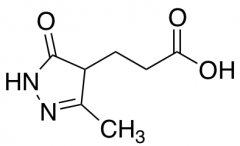 3-(3-Methyl-5-oxo-4,5-dihydro-1H-pyrazol-4-yl)propanoic acid