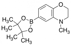 4-Methyl-2,3-dihydrobenzo-1,4-oxazine-6-boronic acid pinacol ester
