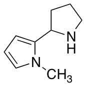 1-methyl-2-(pyrrolidin-2-yl)-1H-pyrrole