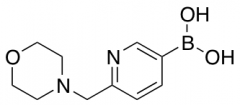 6-(4-Morpholinylmethyl)-3-pyridinylboronic Acid