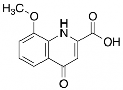 8-Methoxy-4-oxo-1,4-dihydro-quinoline-2-carboxylic Acid