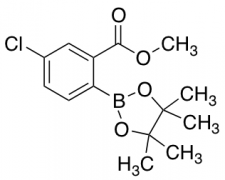 Methyl 5-Chloro-2-(Tetramethyl-1,3,2-Dioxaborolan-2-Yl)Benzoate