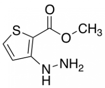 Methyl 3-Hydrazinothiophene-2-carboxylate