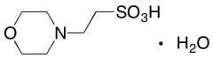 4-Morpholineethanesulfonic Acid