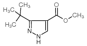 Methyl 3(5)-t-butylpyrazole-4-carboxylate