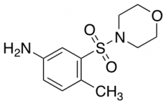 4-Methyl-3-(4-morpholinosulfonyl)aniline