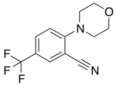 2-Morpholino-5-(trifluoromethyl)benzonitrile