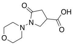 1-Morpholino-5-oxopyrrolidine-3-carboxylic Acid