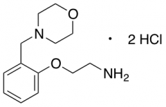 {2-[2-(Morpholin-4-ylmethyl)phenoxy]ethyl}amine Dihydrochloride