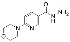 6-(Morpholin-4-yl)nicotinic Acid hydrazide