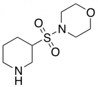 4-(3-Piperidinylsulfonyl)-morpholine