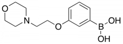 3-(2-Morpholinoethoxy)phenylboronic Acid