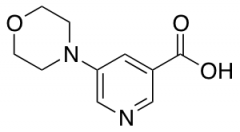 5-Morpholin-4-yl-nicotinic Acid