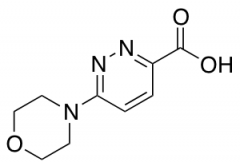 6-Morpholin-4-ylpyridazine-3-carboxylic Acid