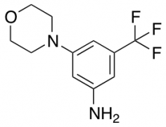 3-Morpholin-4-yl-5-trifluoromethyl-phenylamine