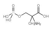 MSOP