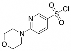 6-Morpholin-4-yl-pyridine-3-sulfonyl Chloride