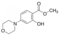 Methyl 2-Hydroxy-4-Morpholinobenzoate